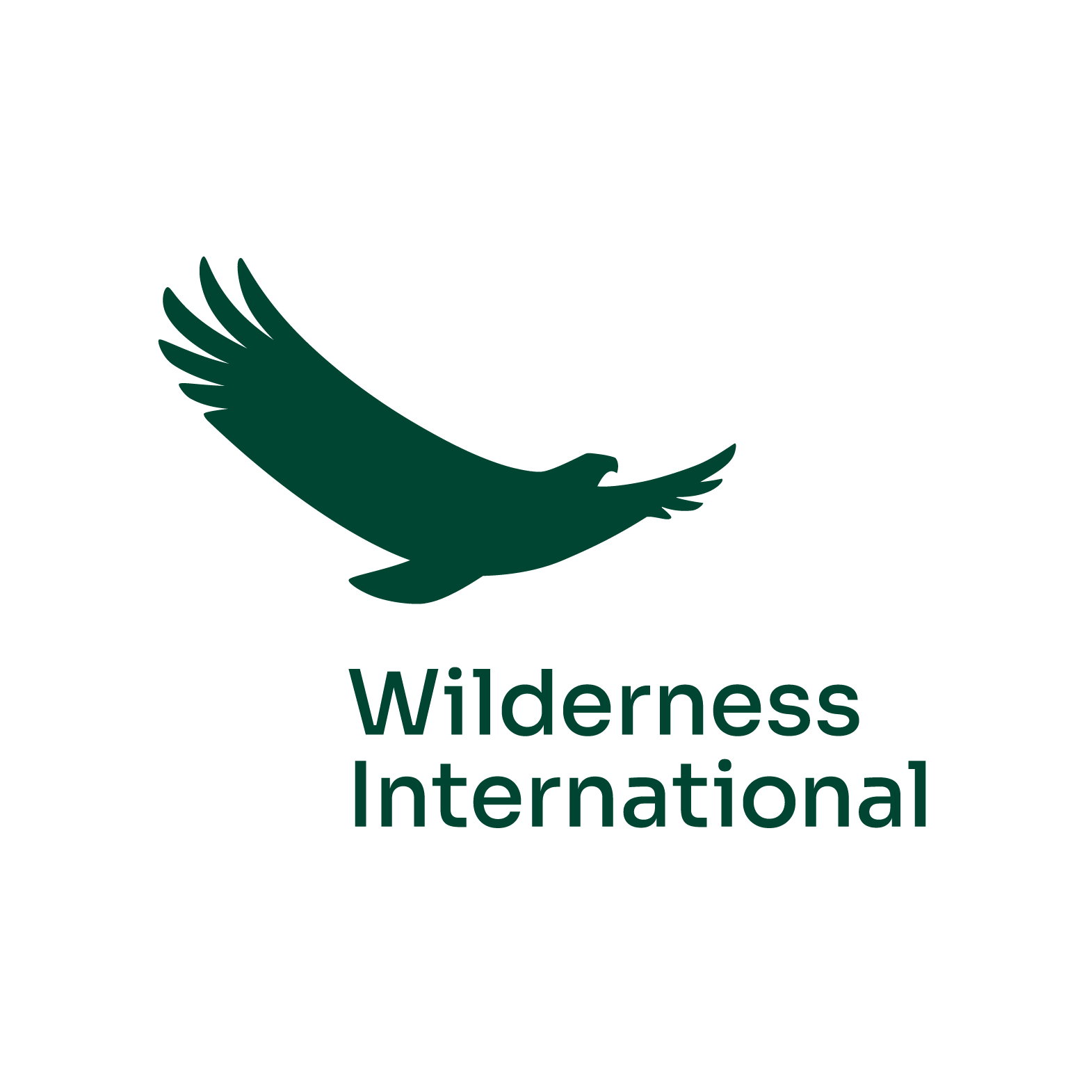 Wilderness International